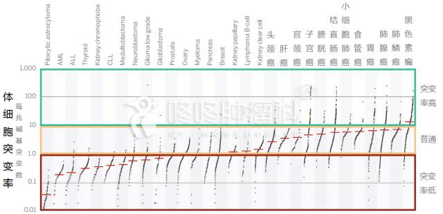 肿瘤新抗原免疫治疗为肿瘤患者带来福音