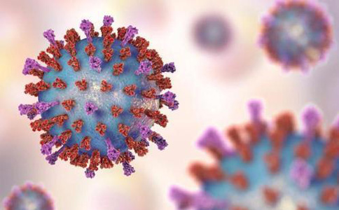新型冠状病毒与抗新型冠状病毒多肽研究