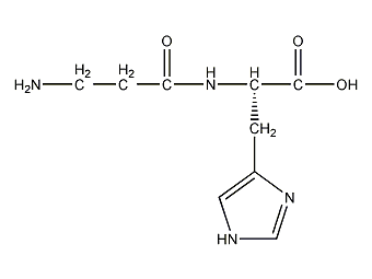 肌肽的作用有哪些？肌肽时候什么样的人群使用？