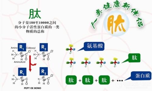 生物活性多肽对肽护肤产品都有哪些主要用途？