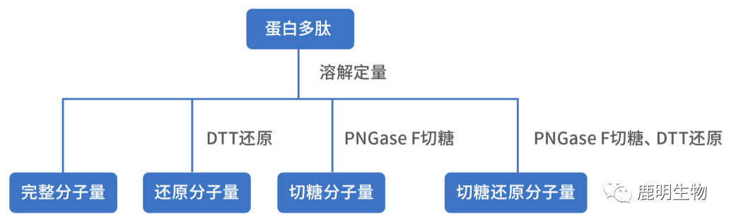 生物药定性分析检验（蛋白质、多肽）、临床医学前DMPK科学研究及微生物剖析、生物药