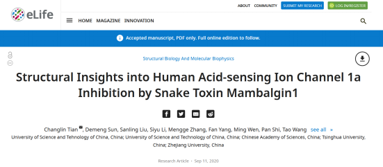 Structural Insights into Human Acid-sensing Ion Channel 1a Inhibition by Snake Toxin Mambalgin1