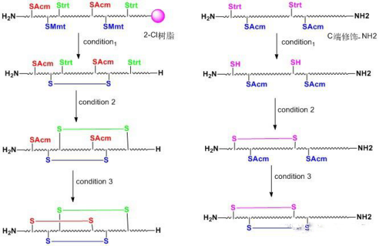 肽对二硫键的环化技术