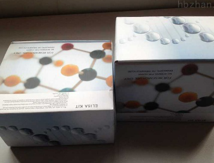 Myelin oligodendrocyte glycoprotein kit 1. Diagnosis of MOG and MS