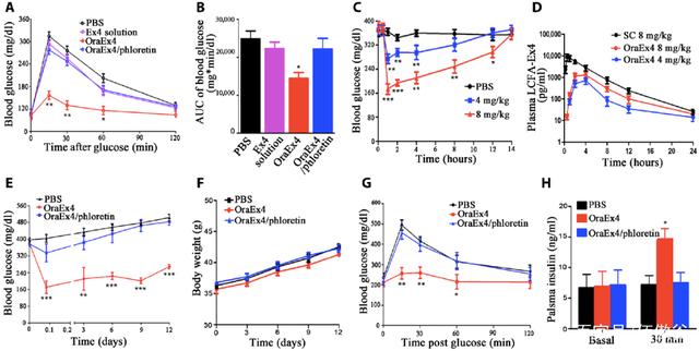 Long-chain fatty acid coupling: a new idea for efficient oral absorption of polypeptide drugs