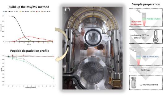 药妆多肽对蛋白酶活性的敏感性:通过液相色谱-质谱/质谱分析进行皮肤稳定性试验