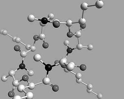 PNAS:我国科学家表明心脏多肽生长激素心室利钠肽抑止神经递质前神经递质传送的信号