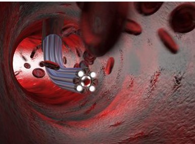固拓生物—小分子肽对血管的重要功效！