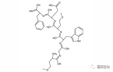 固拓生物多肽的三个重要的特点