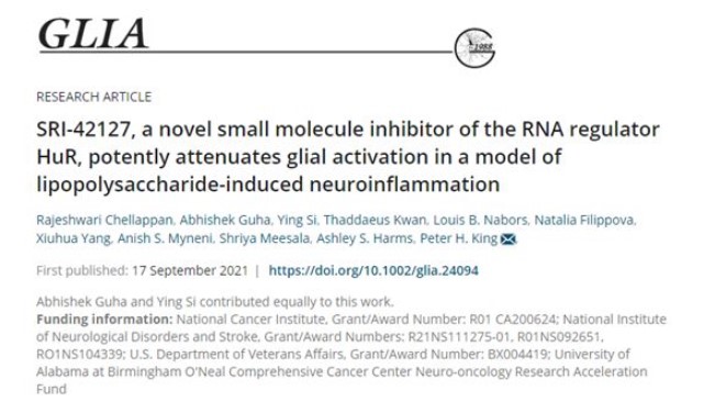 小分子抑制剂SRI-42127强力阻拦神经炎症，有希望治疗一系列神经系统退行性疾病