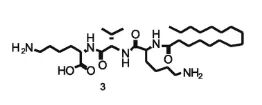 美容护肤多肽 |棕榈酰三肽－5