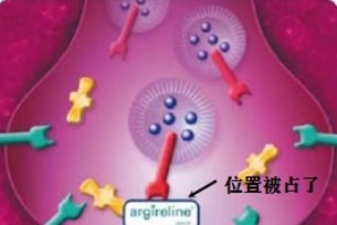 乙酰基六肽-8，擦抹式肉毒？