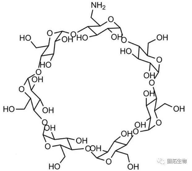 多肽偶联大环超分子瓜环/多肽偶联环糊精/多肽偶联冠醚