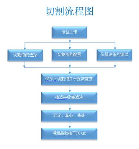 多肽切割有哪些操作规程？