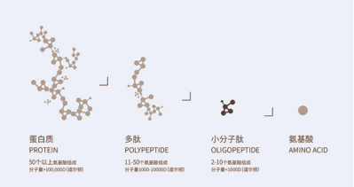 无需氨基酸就能合成多肽，是否有望解释生命起源？