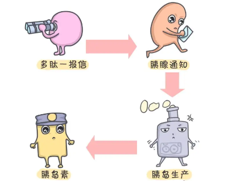 国内近些年来在不断发展的多肽行业