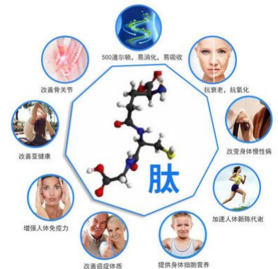 你知道众所周知的多肽更适用于哪些群体吗