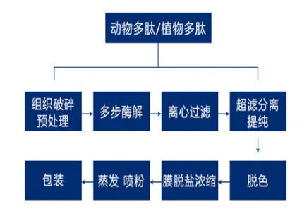 膜法分离提纯多肽药物是不可或缺的技术