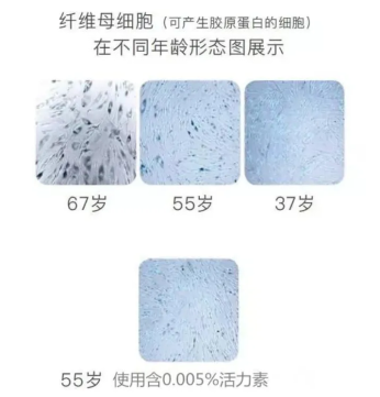 乙酰基六肽-7对皮肤的作用机理