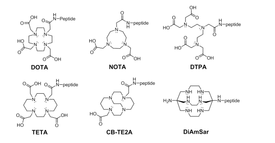 固拓生物提供多肽螯合修饰