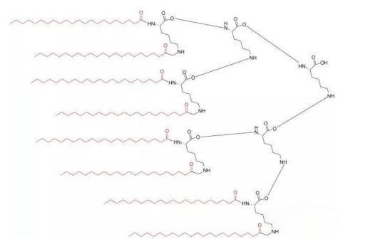 常见3种多聚抗原肽的设计合成（MAPs）